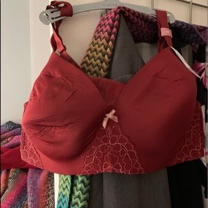 Lane Bryant bra